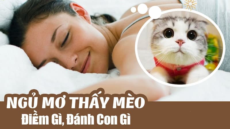 Giải mã ý nghĩa của giấc mơ thấy mèo