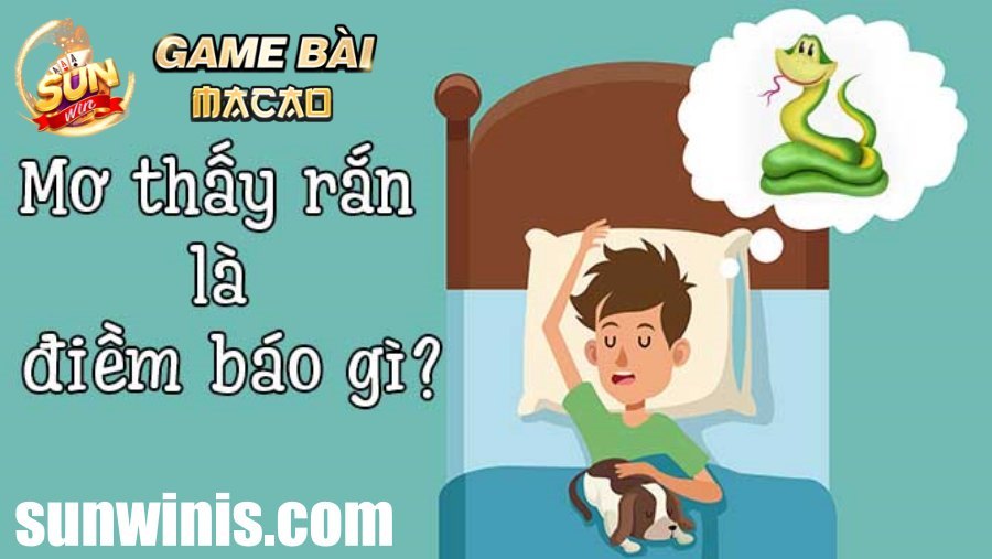 Giải mã chi tiết giấc mơ thấy rắn